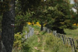 Le Puy Conques 711