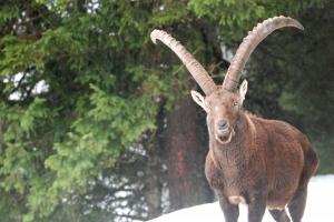 Parc de Merlet rencontre