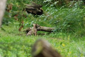 Sainte Croix 12-07-2016 988