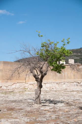 2019-05 Knossos (1)