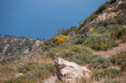 2019-05 Monastère Gouvernetou et alentours (5)