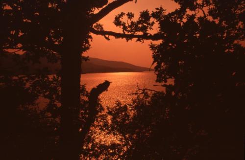 Lac des Trossac (1)