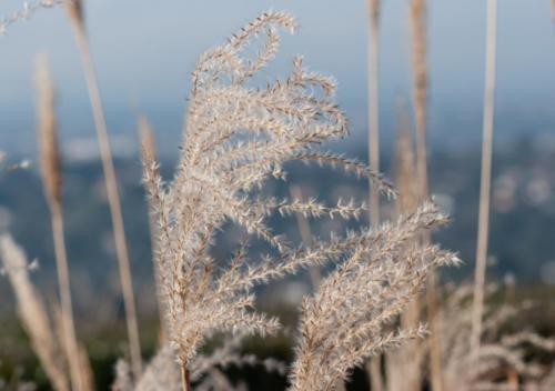 2020-01-16 Monts du Lyonnais