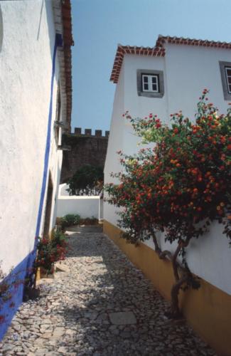 Obidos (13)