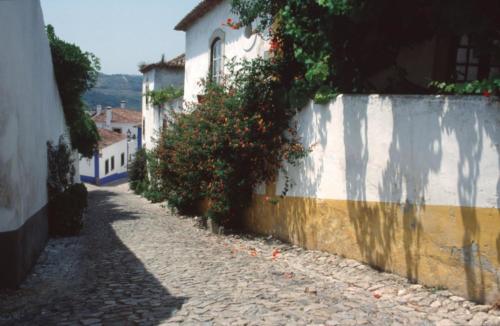 Obidos (6)