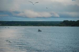 Russie Volga - Réservoir de Rybinsk