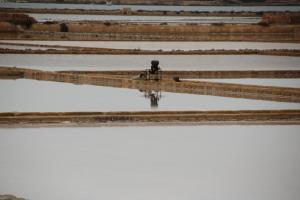 Sicile Salines Ettore