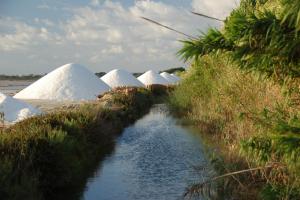 Sicile Salines Ettore