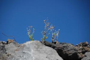 Sicile Etna