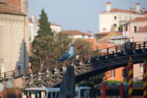 Venise 